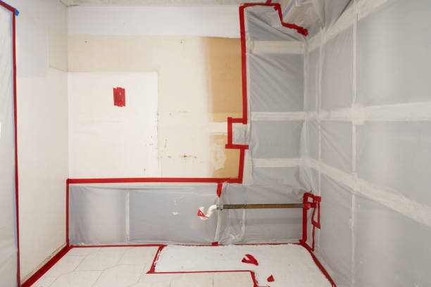 Reliable Coleman, MI Mold Removal Solutions