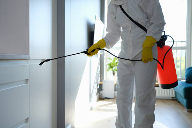 Best Post-Construction Mold Inspection  in Coleman, MI
